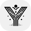 YivColor